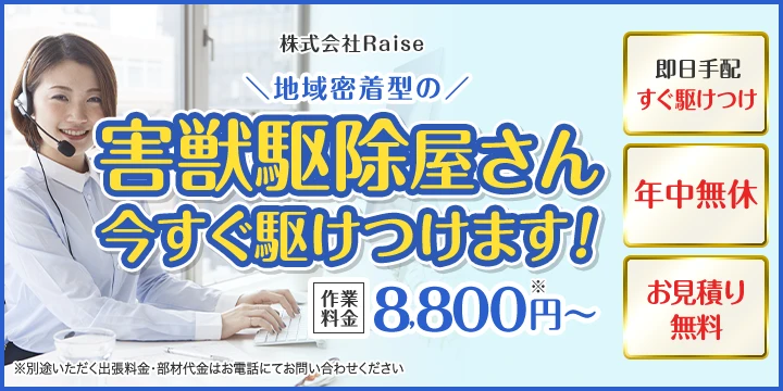 株式会社Raise