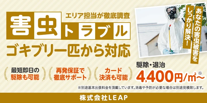 株式会社LEAPイメージ画像