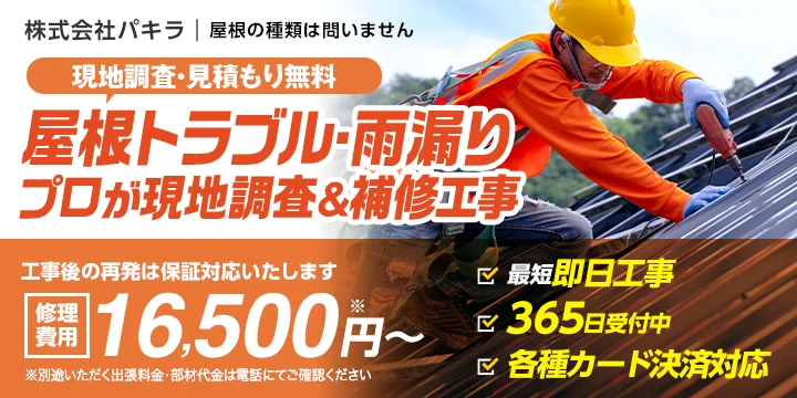 株式会社パキラ