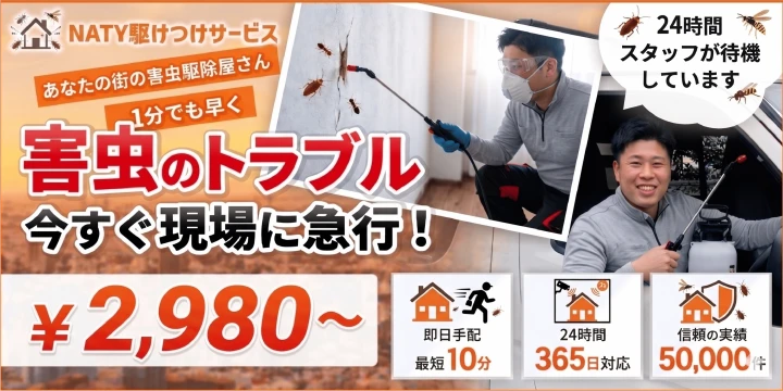 NATY株式会社イメージ画像