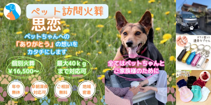 ペット訪問火葬 思恋イメージ画像