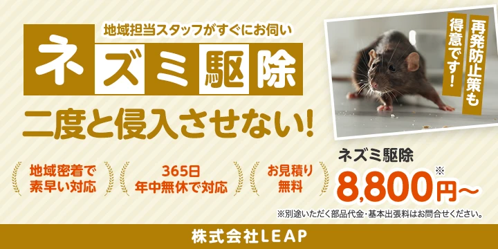 株式会社LEAPイメージ画像