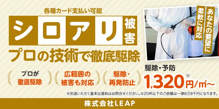 株式会社LEAPイメージ画像