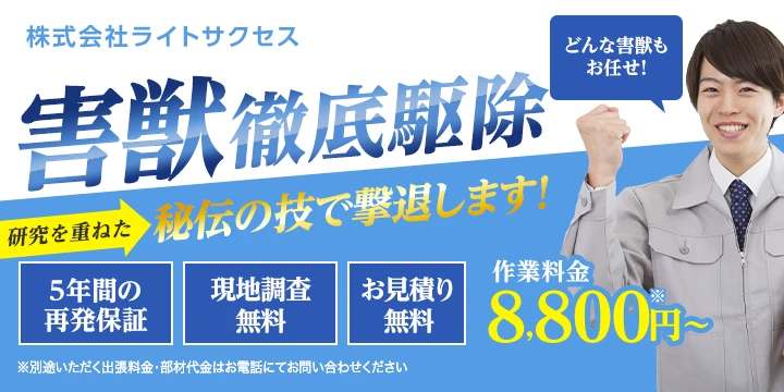 株式会社ライトサクセスイメージ画像