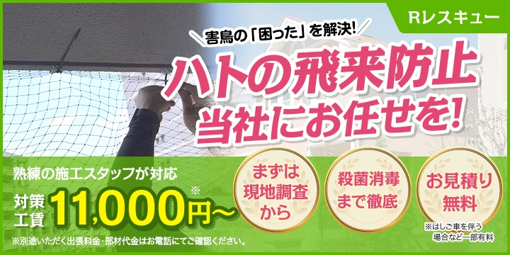 Rレスキューイメージ画像