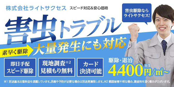 株式会社ライトサクセスイメージ画像