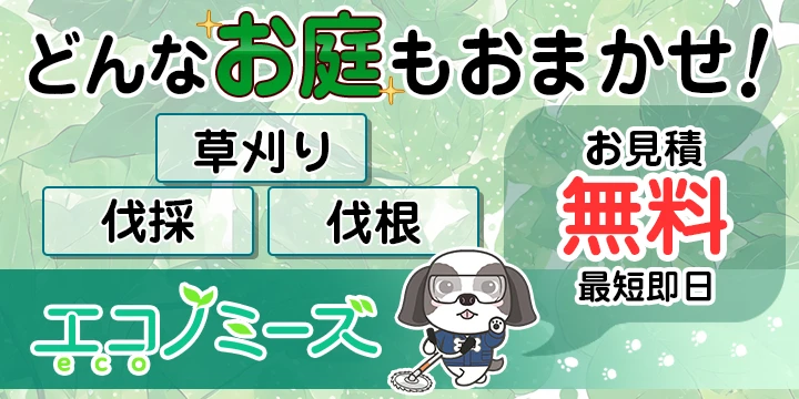 エコノミーズ