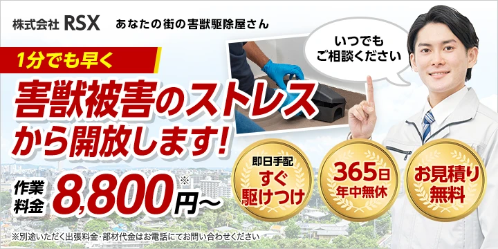 株式会社RSXイメージ画像