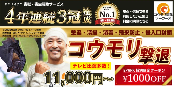 コウモリ駆除ワーカーズイメージ画像