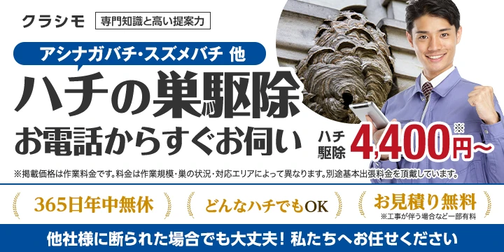 クラシモイメージ画像