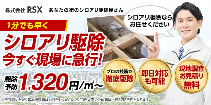 株式会社RSXイメージ画像