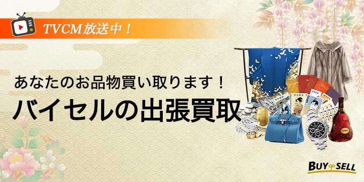 バイセルイメージ画像