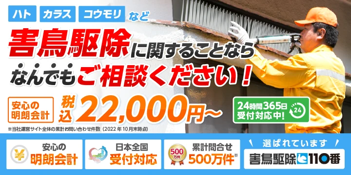 害鳥駆除110番イメージ画像