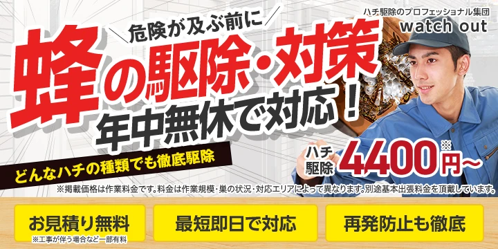 watch outイメージ画像
