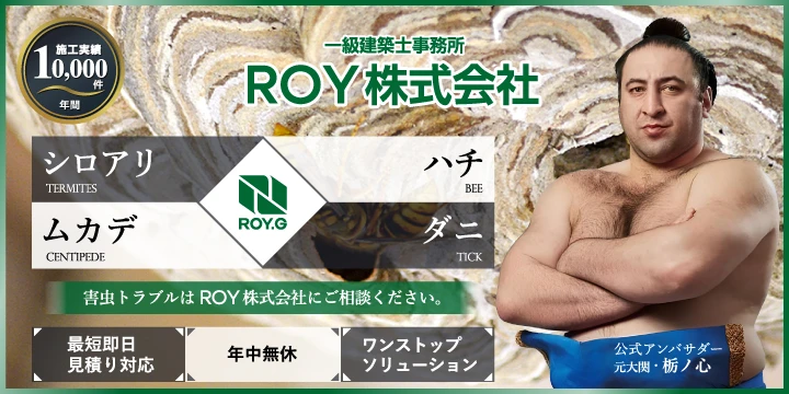 シロアリ駆除のROY株式会社イメージ画像