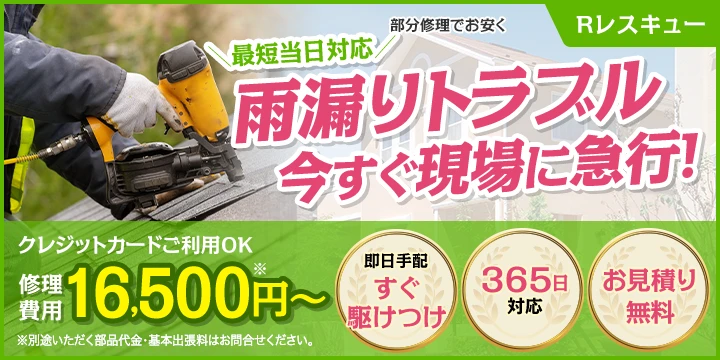 Rレスキュー