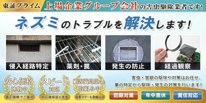 サポート99