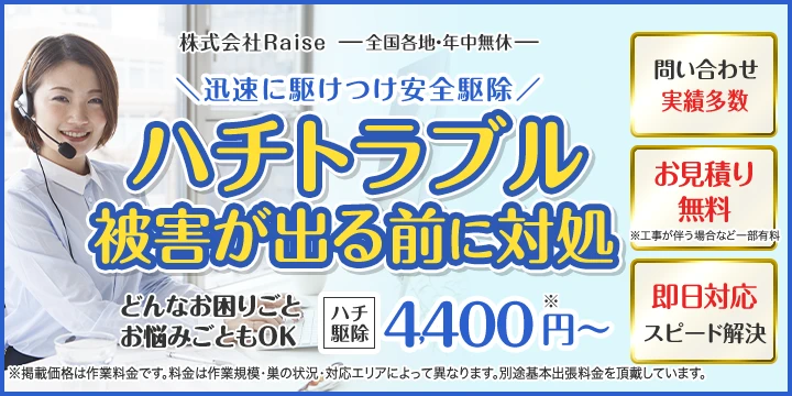 株式会社Raiseイメージ画像