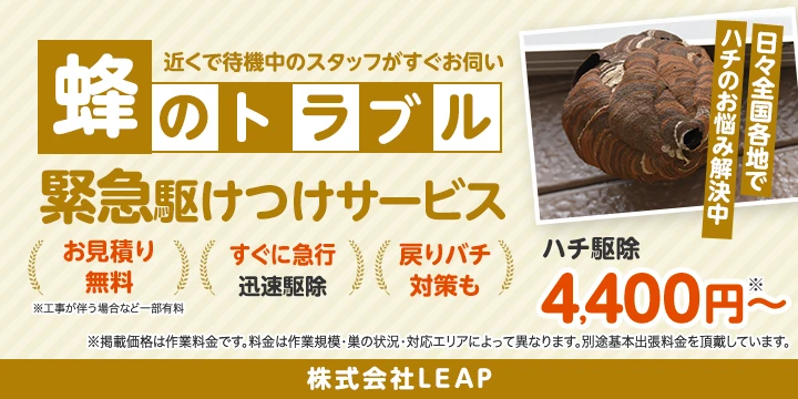 株式会社LEAP