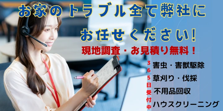 株式会社イイネクルーイメージ画像