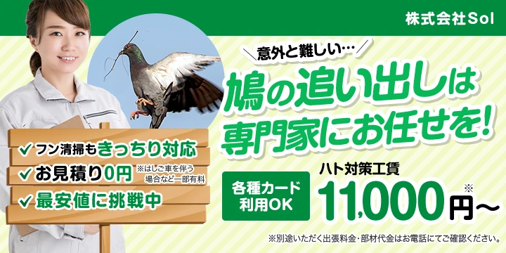 株式会社Solイメージ画像