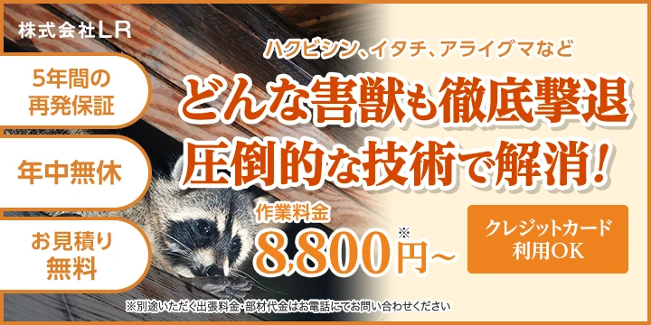 株式会社LRイメージ画像