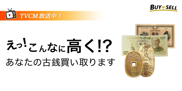 バイセルイメージ画像