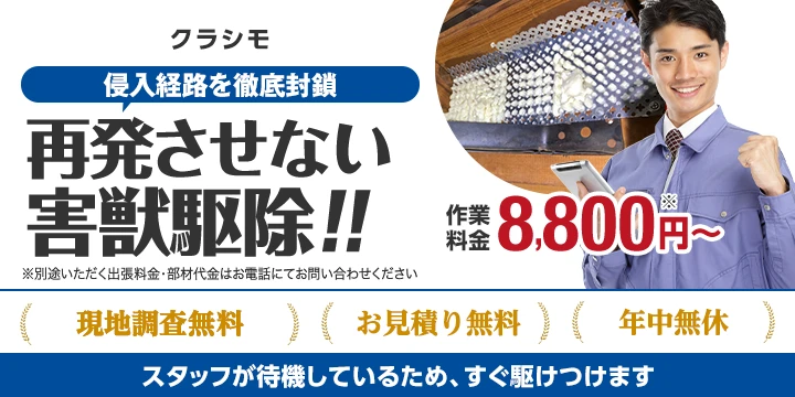クラシモ