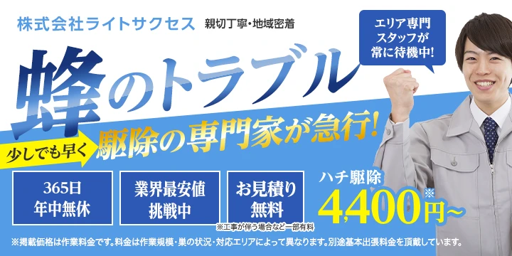 株式会社ライトサクセスイメージ画像