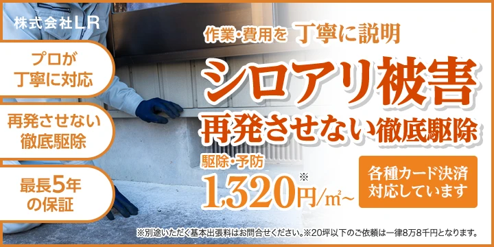 株式会社LRイメージ画像