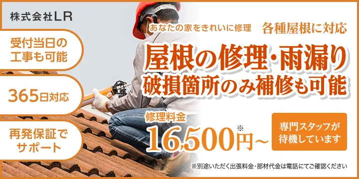 株式会社LR
