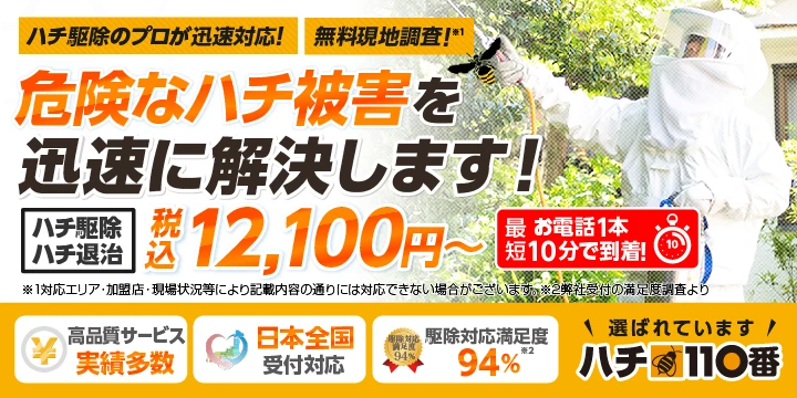 ハチ110番イメージ画像