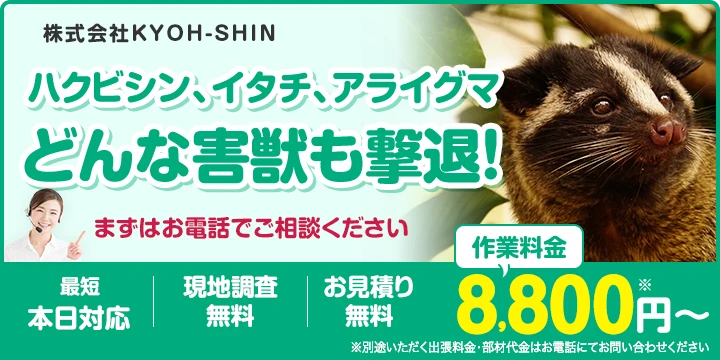 株式会社KYOH-SHIN