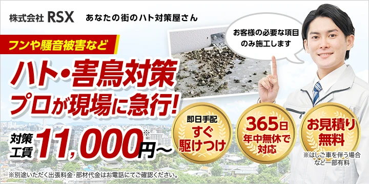 株式会社RSXイメージ画像