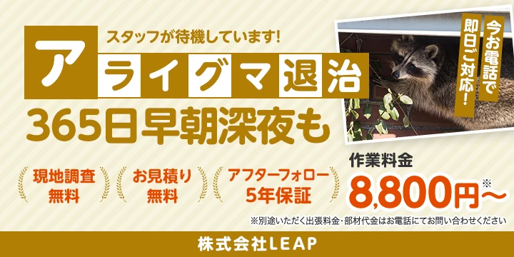 株式会社LEAP