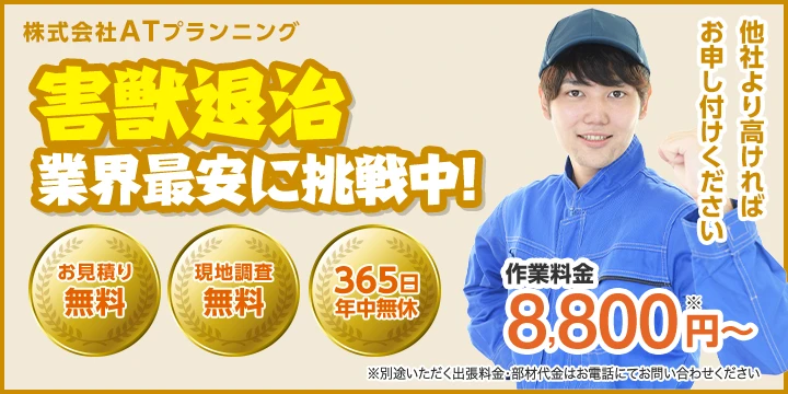 ATプランニング株式会社イメージ画像