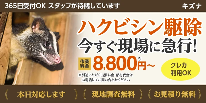 キズナ