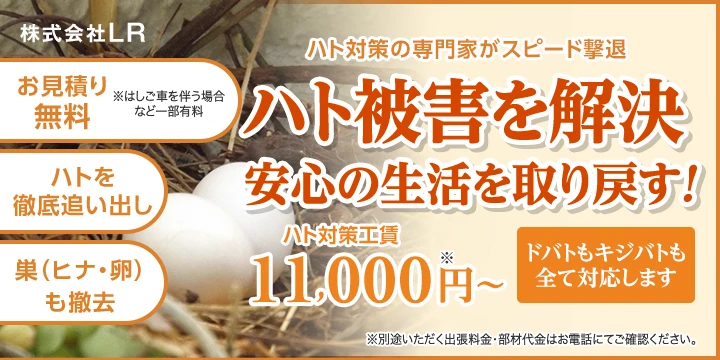 株式会社LRイメージ画像