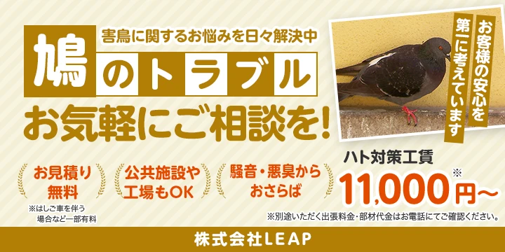 株式会社LEAPイメージ画像
