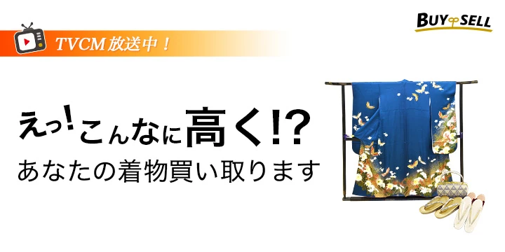 バイセルイメージ画像