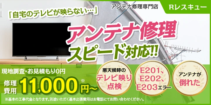 Rレスキュー