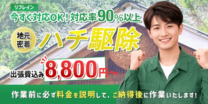 リフレインイメージ画像