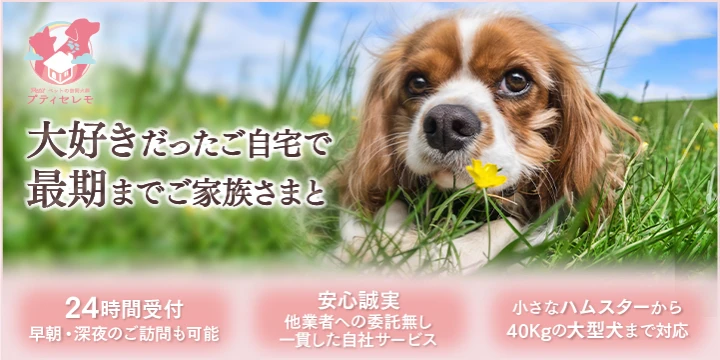 訪問ペット火葬 プティセレモ