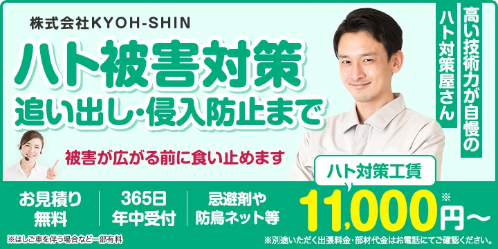 株式会社KYOH-SHINイメージ画像