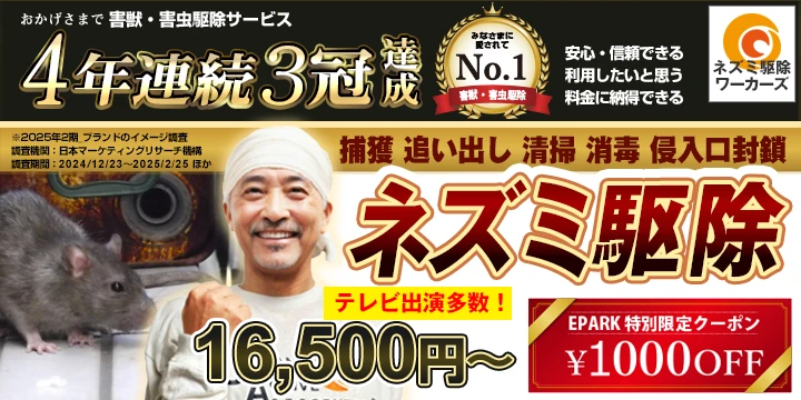 ネズミ駆除ワーカーズイメージ画像