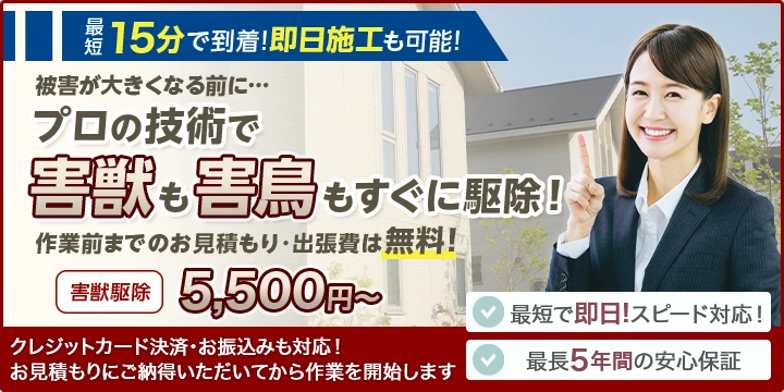 駆除プロ緊急隊イメージ画像