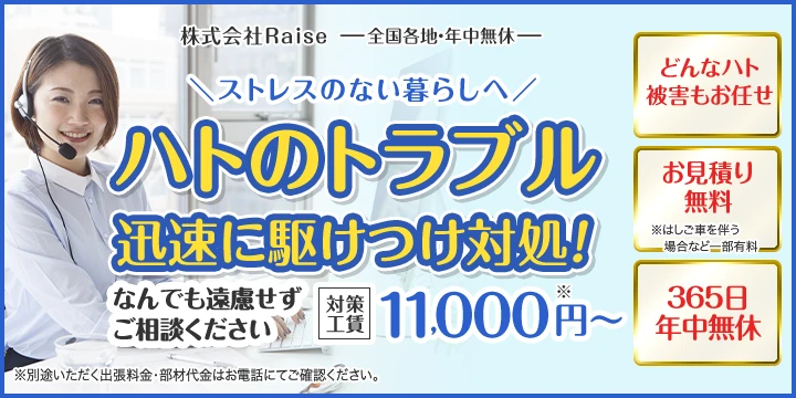 株式会社Raiseイメージ画像