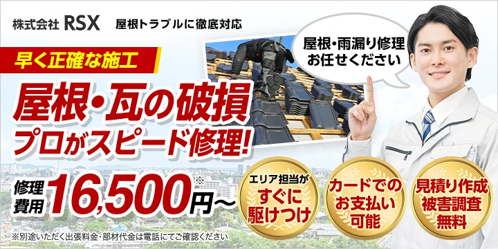 株式会社RSX