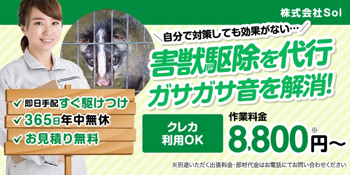 株式会社Solイメージ画像