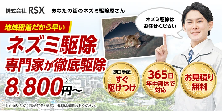 株式会社RSXイメージ画像